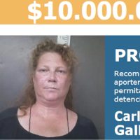 El Ministerio de Seguridad ofreció una recompensa de $10 millones por una mujer que asesinó a su yerno
