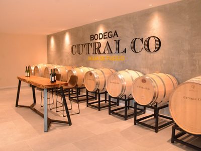 Cutral Co estrenó su bodega “Viñedos del Viento”