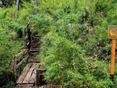 Verano en Neuquén: cómo llegar al escondido paraíso de aguas termales cerca de San Martín de los Andes