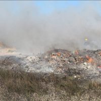 Una quema de basura derivó en un incendio de pastizales en Centenario