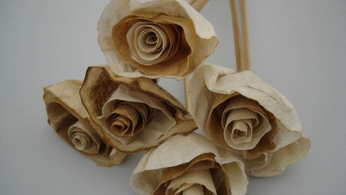 Flores de papel. Fuente: (X)