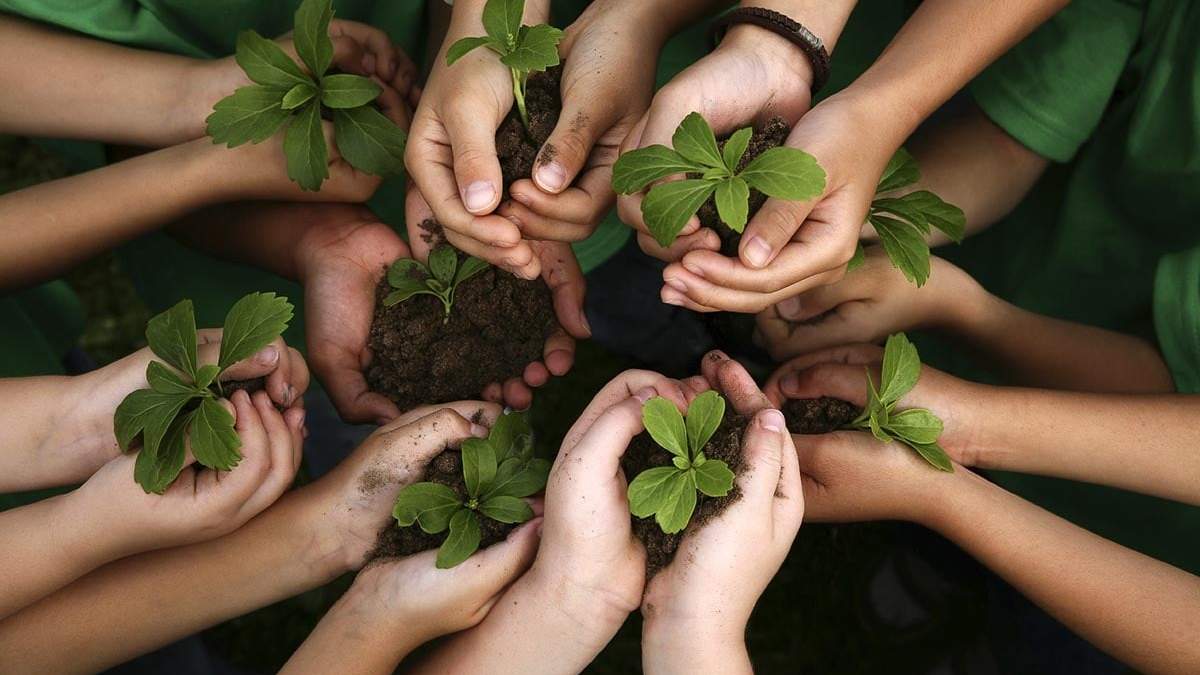 Educación ambiental. Fuente: (Instagram)