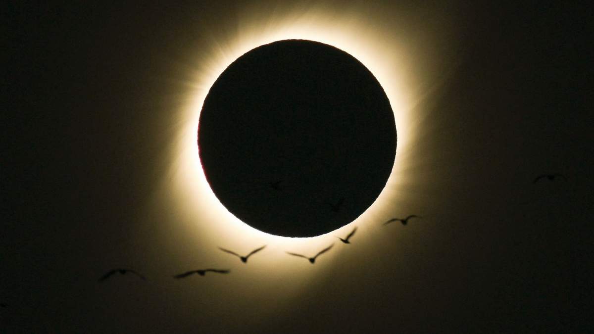 Eclipse solar. Fuente: (Twitter)