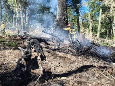 La investigación concluyó que el incendio en Valle Magdalena se inició por la caída de un rayo
