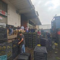 Pleito familiar desata balacera en una bodega de la Central de Abasto; hay 3 muertos