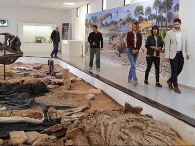 Presentaron en Villa El Chocón el dinosaurio de cuello largo más grande del mundo