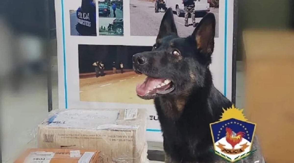 Bettina, de la División Antinarcóticos. Fuente: (Policía de Neuquén)