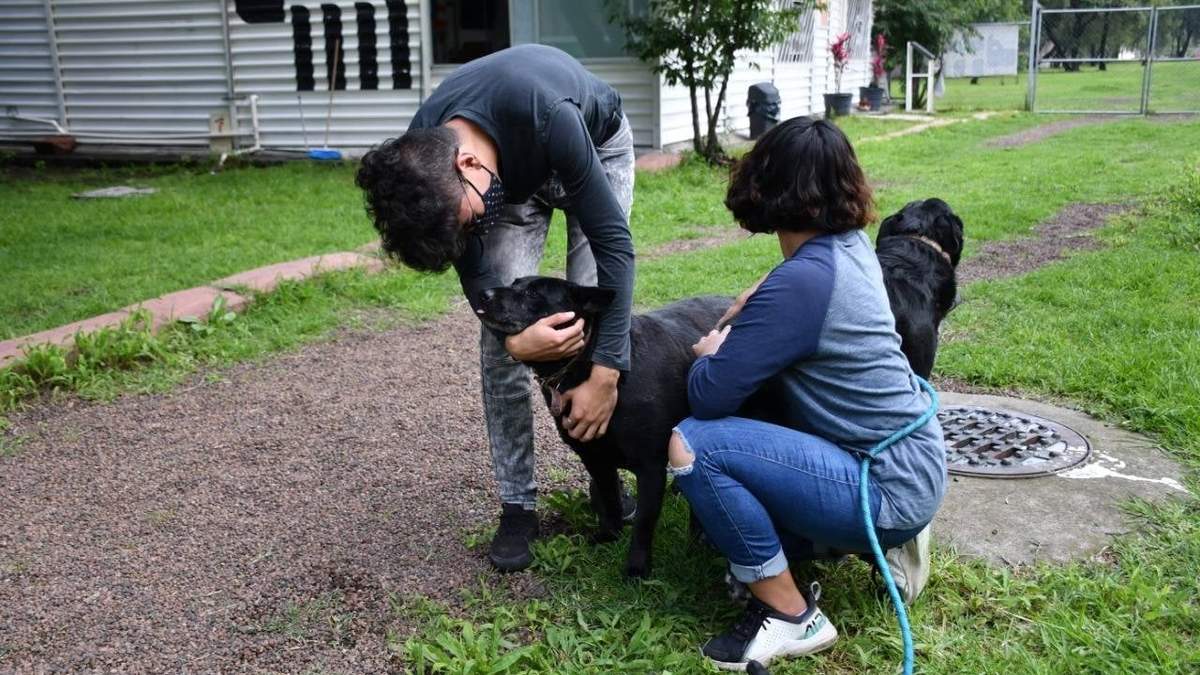 En busca de hogar