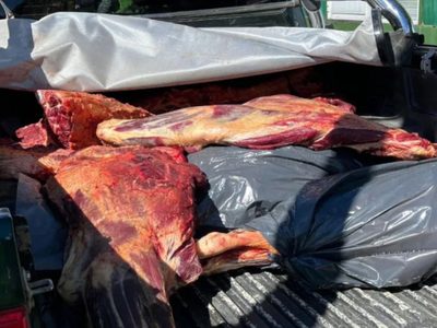 Decomisan 220 kilos de carne en condiciones sanitarias inadecuadas en Junín de los Andes