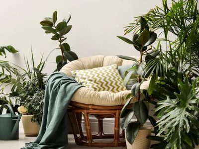 Las 5 plantas ideales para los rincones más oscuros de tu hogar
