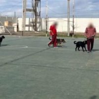 Internos de la Unidad 11 aprendieron adiestramiento canino