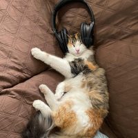 Las cinco canciones que te harán dormir profundamente