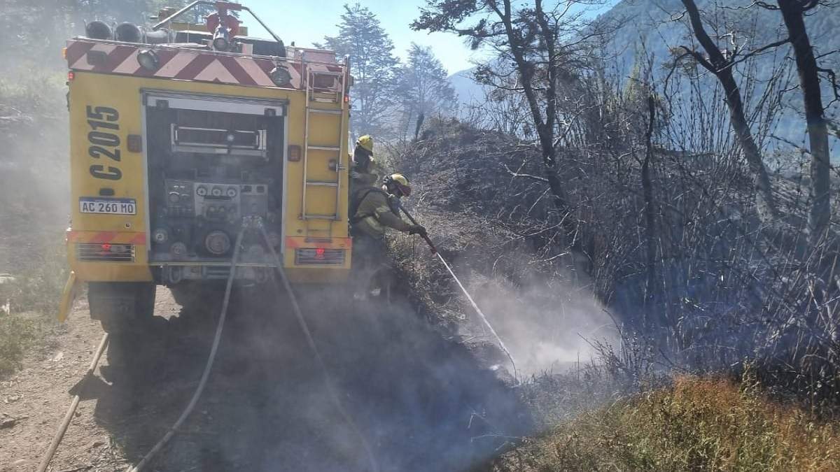 Brigadistas del PNL en pleno combate del incendio forestal. Fuente (Prensa PNL)