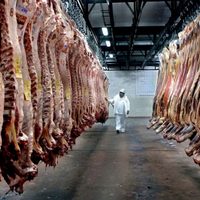 Cepo a la carne: la Mesa de Enlace debatirá medidas fuertes en contra de la decisión del Gobierno