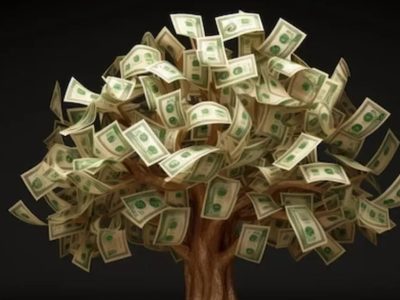 La planta que muchos eligen para que el dinero nunca falte en casa: mirá cómo cultivarla