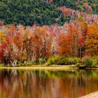 Descubrí el plan ideal en Neuquén: termas, caminatas y buena comida en otoño