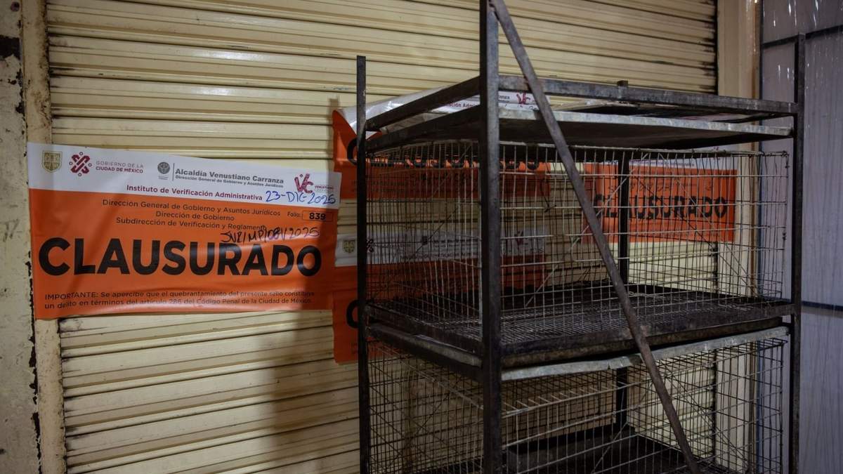 Prohibición de venta de animales vivos en el Mercado de Sonora
