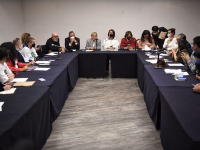 Prevén comparecencia de Álvarez-Buylla en el Senado tras reunión con alumnos