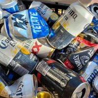Ya no tires las latas de cerveza: creá estos hermosos y muy creativos maceteros para tu jardín