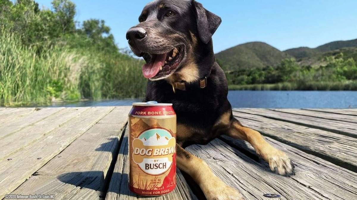 Cerveza para perros. Fuente: (Instagram)