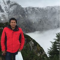 Baja cotización de bonos forestales desmotiva a dueños de los bosques