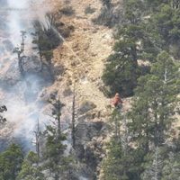 Incendio en Valle Magdalena: continúan los operativos para contener el fuego en el Parque Nacional Lanín
