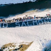 Tierra del Fuego es el primer lugar en el mundo donde se prohíbe por ley la cría de salmones