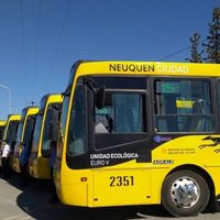 Autobuses Neuquén: "Si no llegan los subsidios, no hay forma de pagar los sueldos"