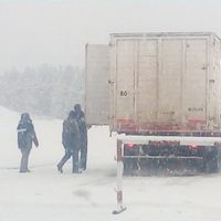Villa Pehuenia: intensifican controles de acceso a la localidad