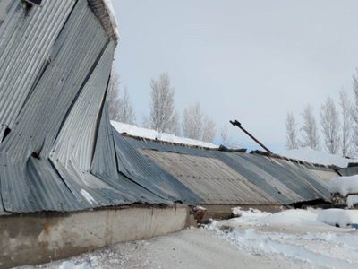 Impresionante: grandes estructuras cedieron ante el peso de la nieve en Zapala