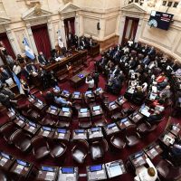 Acuerdo con el FMI: cómo votaron los senadores de la región