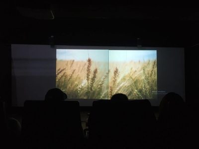 Sala de Cine Zapata, desde un encuadre público