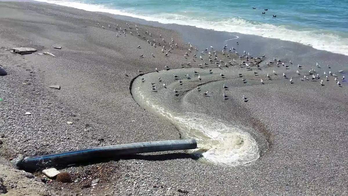 Efluentes cloacales crudos caen al mar en Caleta Olivia. Fuente: (Twitter)