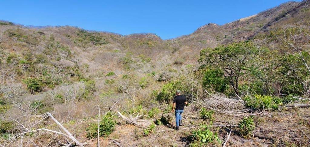 Barranco donde fue localizado el alcalde