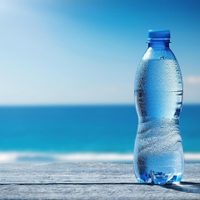Beber agua de mar, ¿sí o no?: la tendencia viral y los beneficios y contraindicaciones para la salud