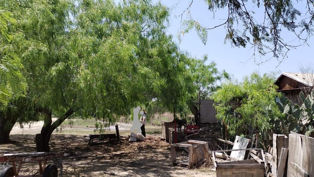 Zona de fosas