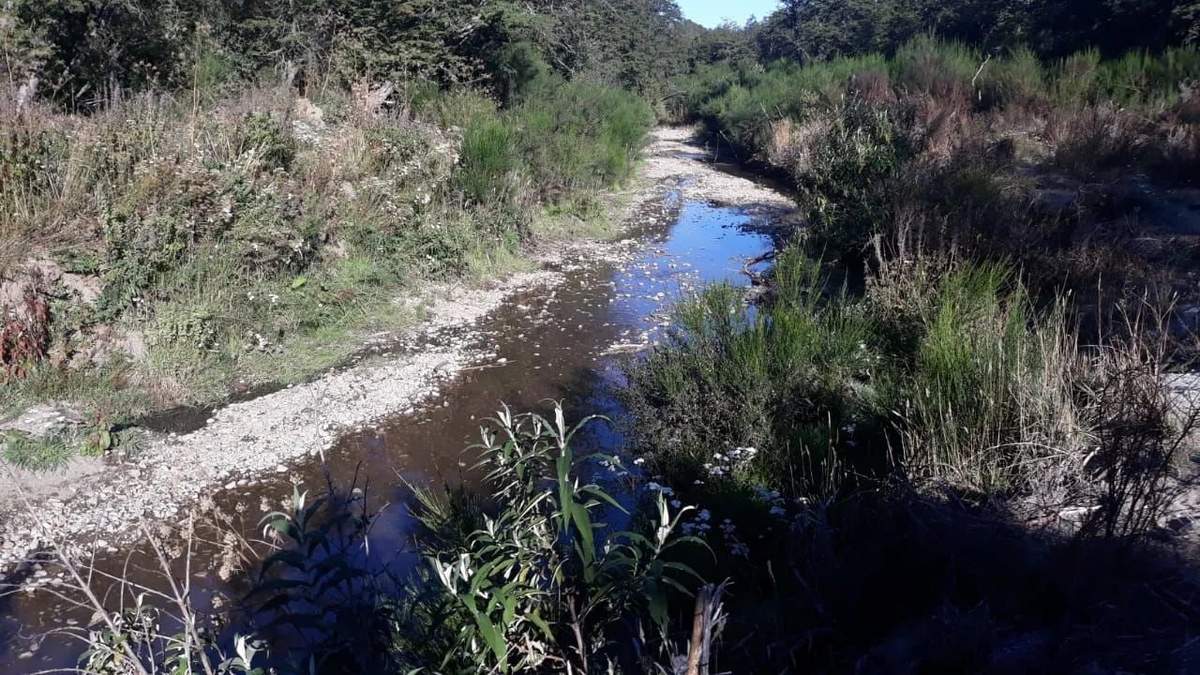 Arroyo Las Piedritas de Villa La Angostura. Fuente: (Twitter)