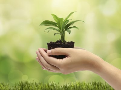 Cómo cuidar el medioambiente en nuestra cocina