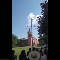 Cae un volador de Papantla en Huaquechula, Puebla (video)
