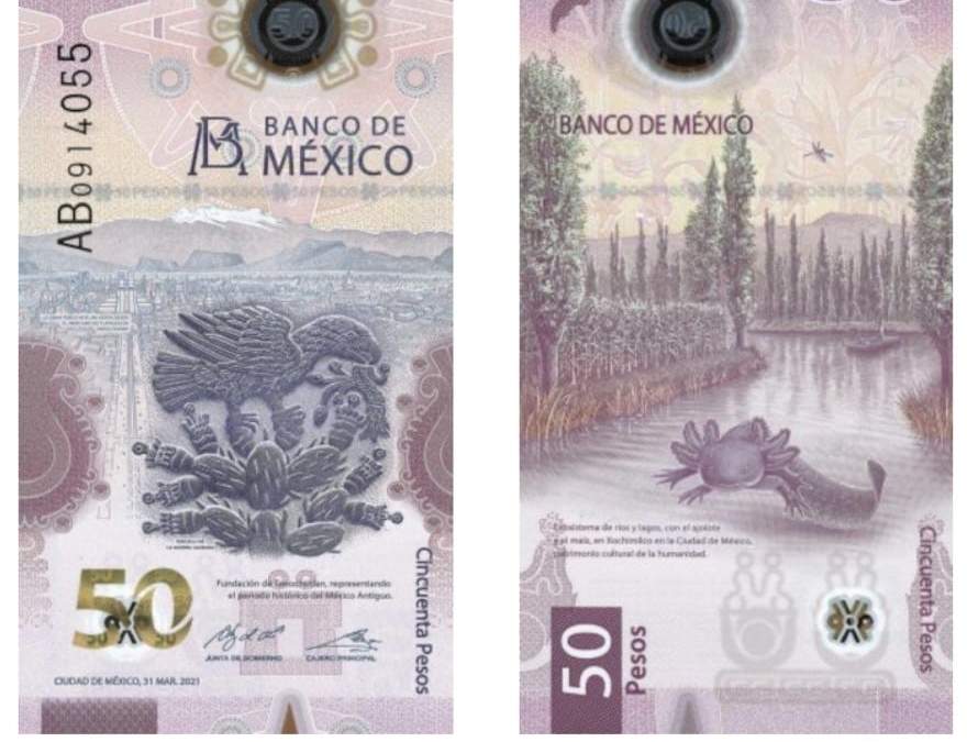 El billete de 50 pesos recibió el reconocimiento por parte del International Bank Note Society