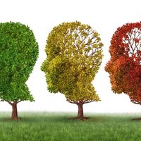 Para 2050, 6.5 millones de mexicanos con Alzheimer