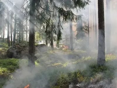 El Ministerio Público Fiscal avanza en la investigación sobre los incendios intencionales registrados en Villa Traful