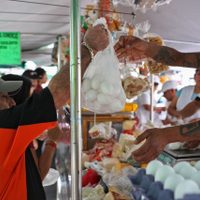 La inflación llegó a 7.62% en febrero, su nivel más bajo en 11 meses