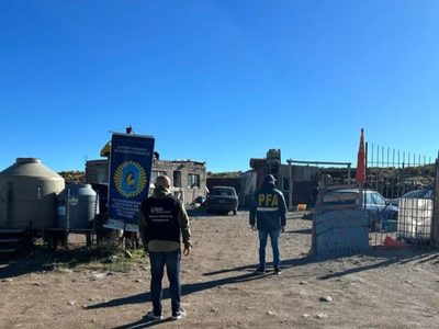 Clausuraron tres desarmaderos en Zapala y secuestran más de 400 millones de pesos en autopartes