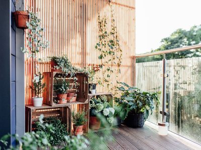 5 tips para practicar jardinería en el balcón