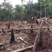México, con escasa inversión para recuperar el capital natural: UNAM