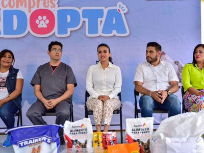 Reaparece la alcaldesa de Chilpancingo; confirma que fue entrevistada por la FGR
