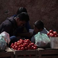 Consumidores mexicanos pagarán el precio del arancel al jitomate impuesto por EU: ANPEC