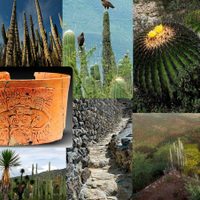 La UNESCO inscribe al Valle de Tehuacán-Cuicatlán como Bien Mixto en la Lista de Patrimonio Mundial