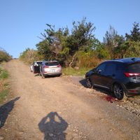 Jalisco: Hallan en tres vehículos los cuerpos de siete personas ejecutadas